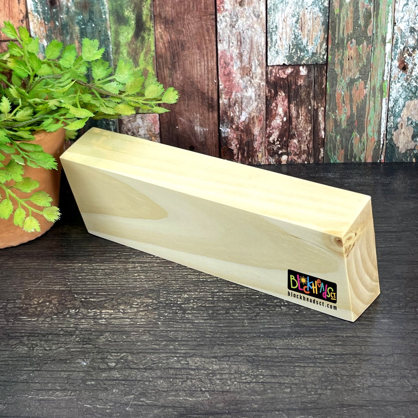 Dear Beach, I Think About You All The Time!